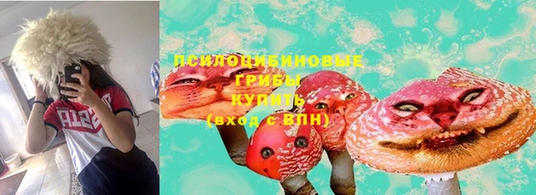 мескалин Арсеньев