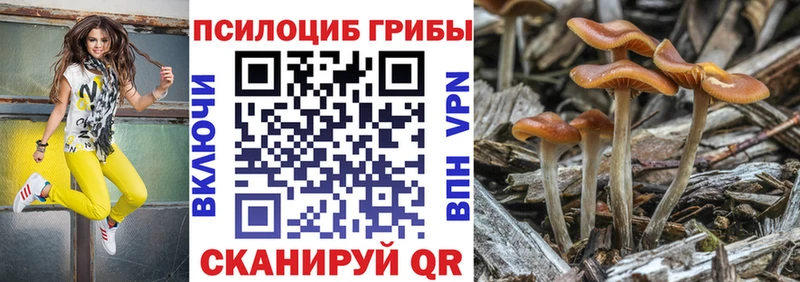площадка какой сайт  Артёмовск  Галлюциногенные грибы MAGIC MUSHROOMS 